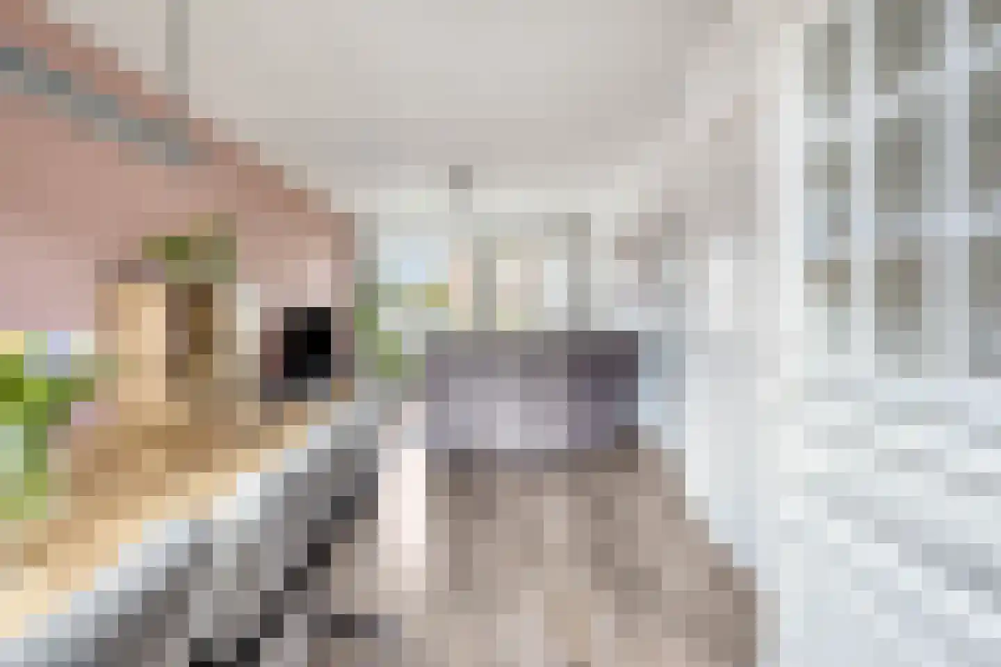 Esdoornstraat 9 Brakel thumbnail 11