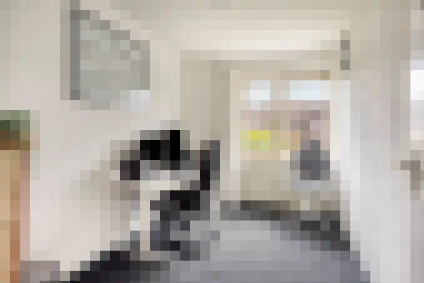 Esdoornstraat 9 Brakel thumbnail 21
