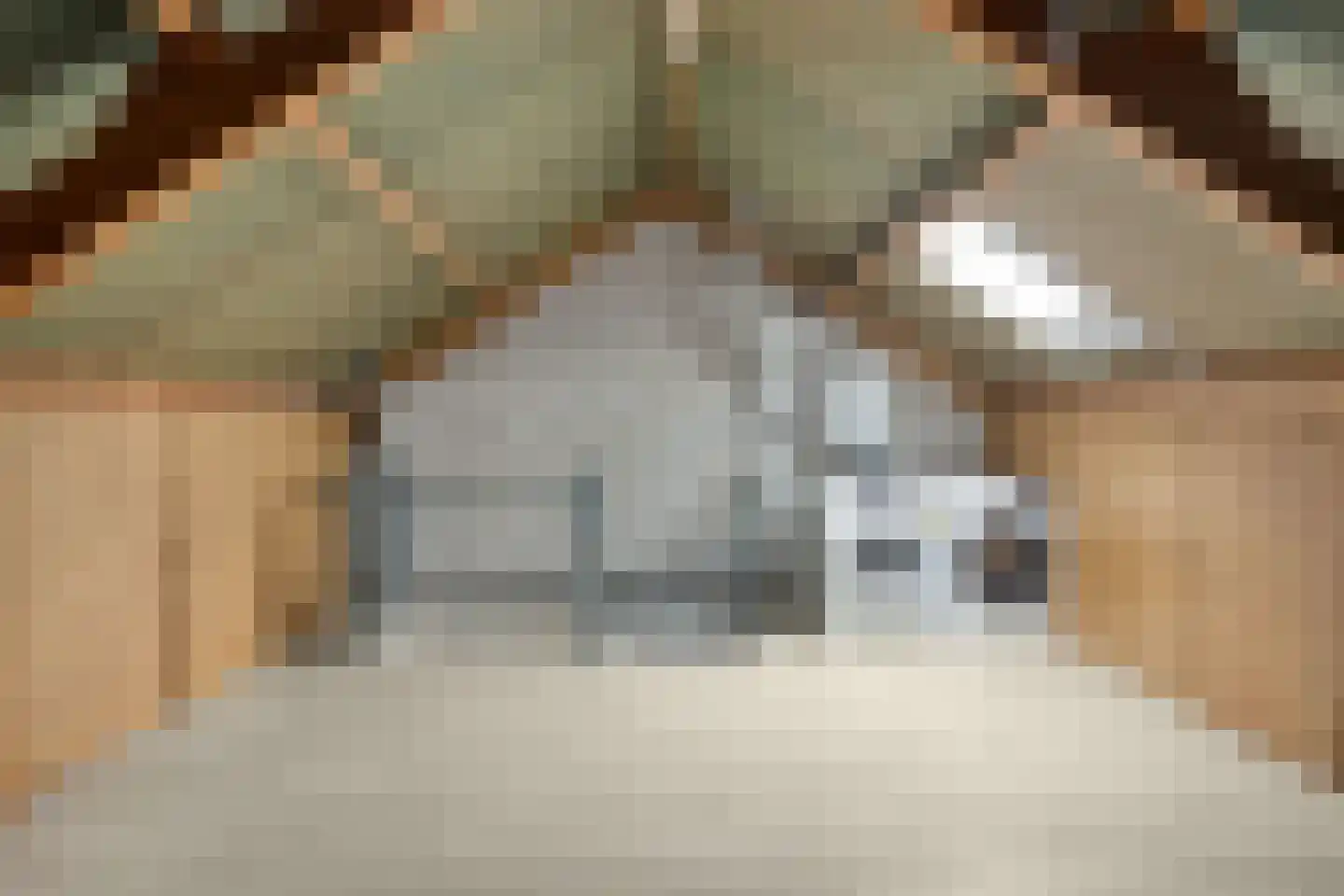 Esdoornstraat 9 Brakel thumbnail 23
