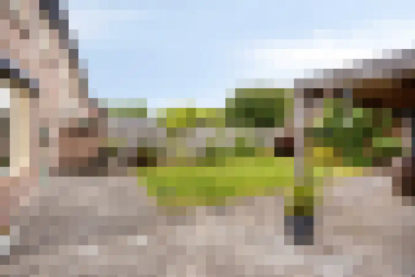 Esdoornstraat 9 Brakel thumbnail 25