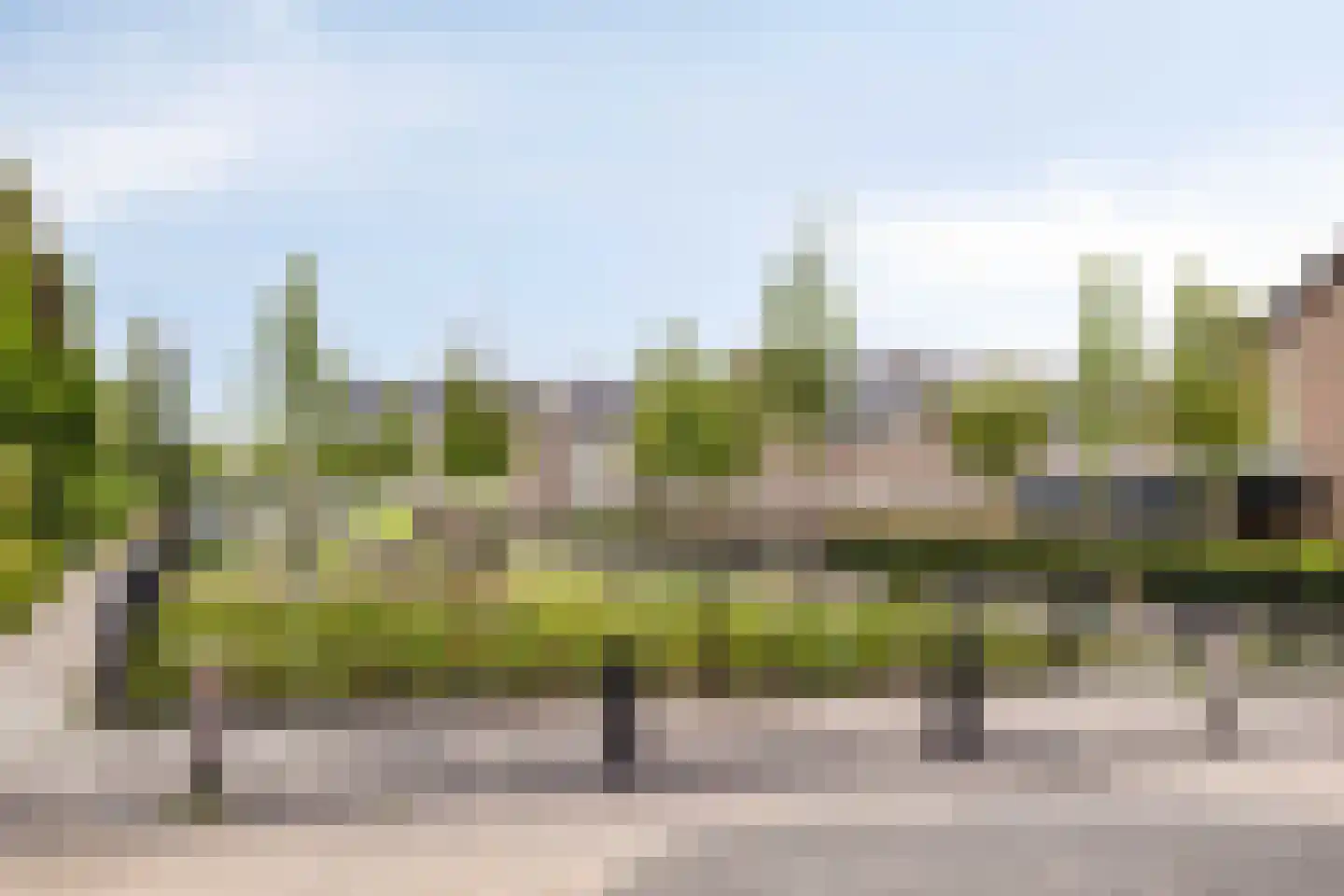 Esdoornstraat 9 Brakel thumbnail 29