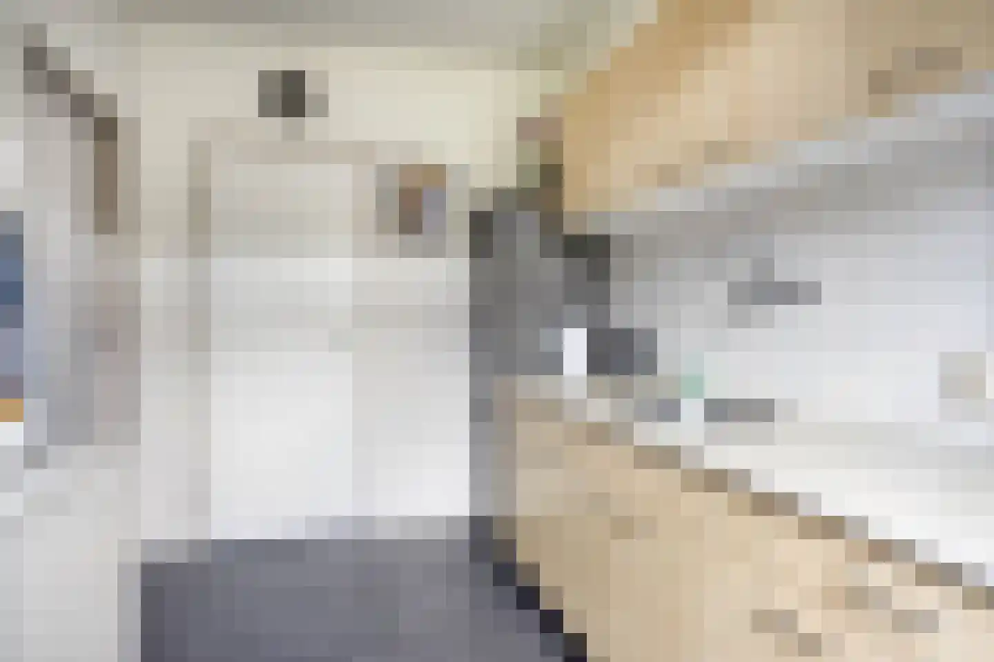 Esdoornstraat 9 Brakel thumbnail 9