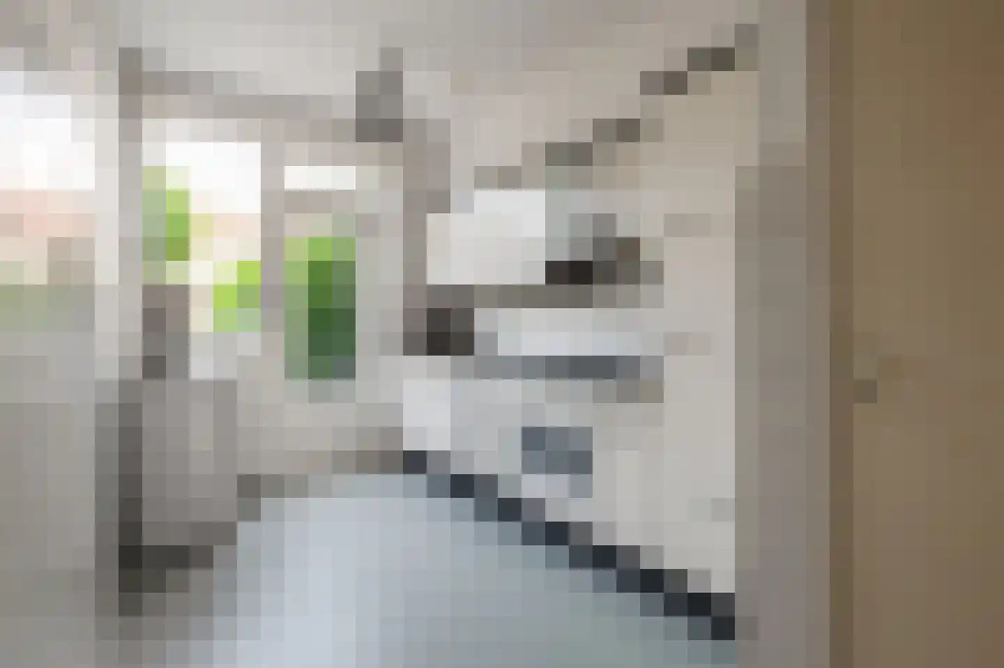 Esdoornstraat 9 Geldermalsen thumbnail 11