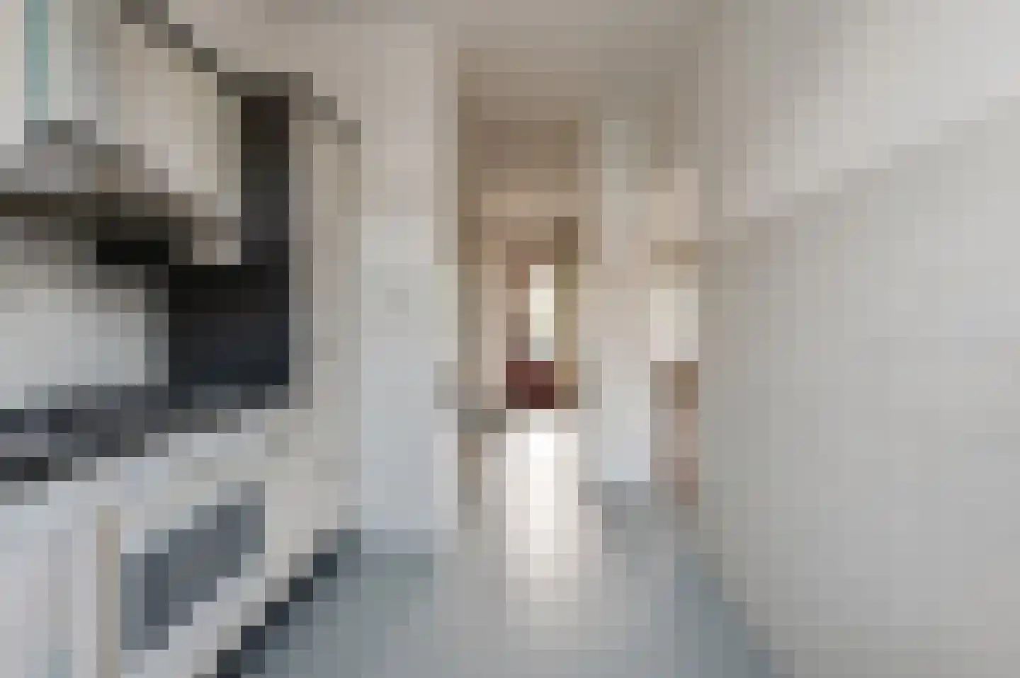 Esdoornstraat 9 Geldermalsen thumbnail 12