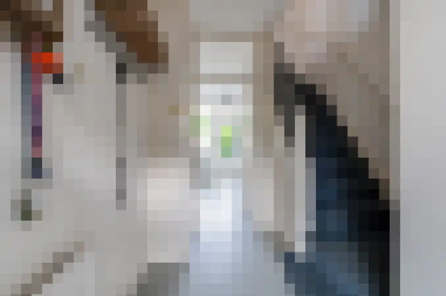 Esdoornstraat 9 Geldermalsen thumbnail 13
