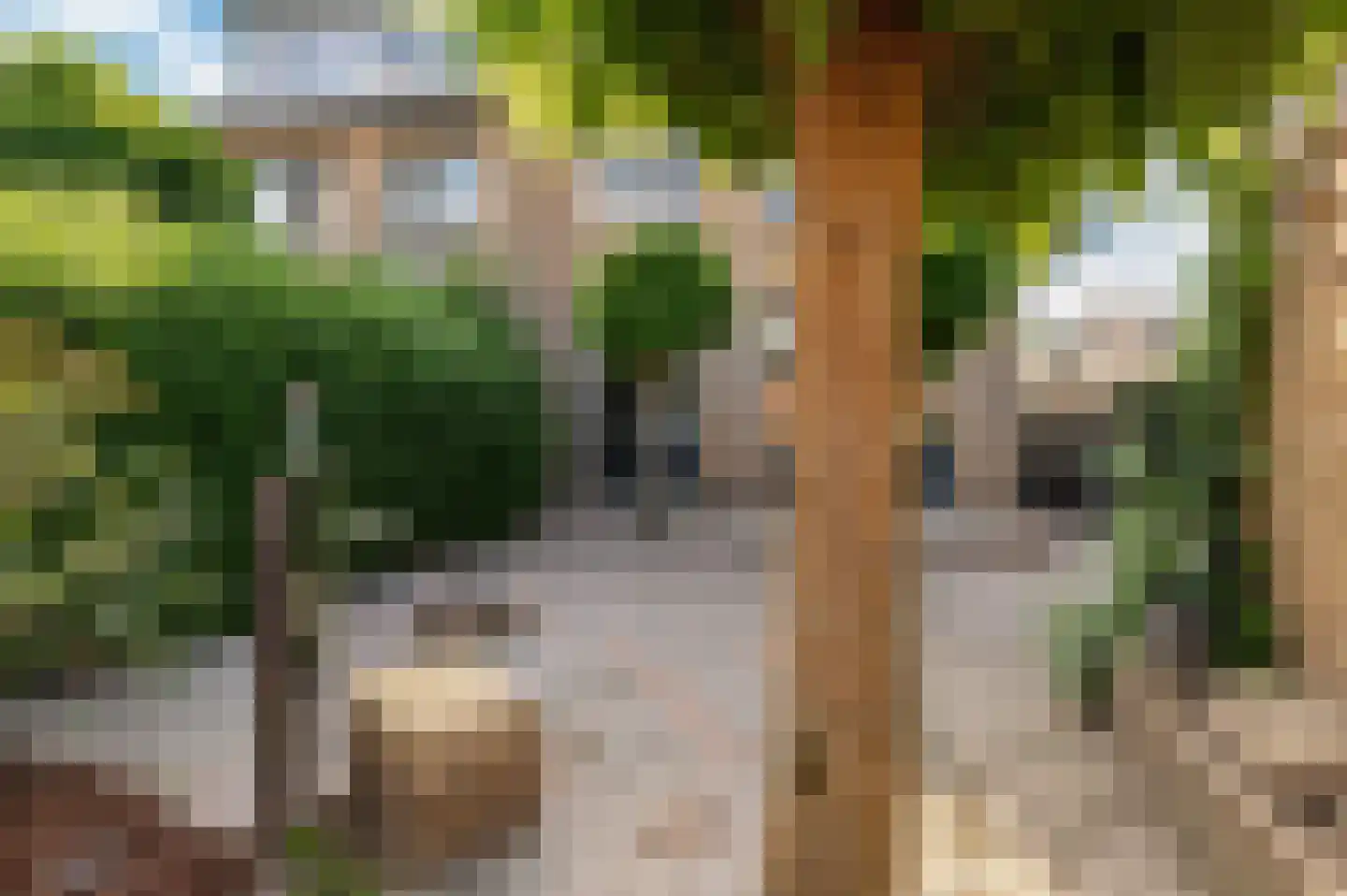 Esdoornstraat 9 Geldermalsen thumbnail 25