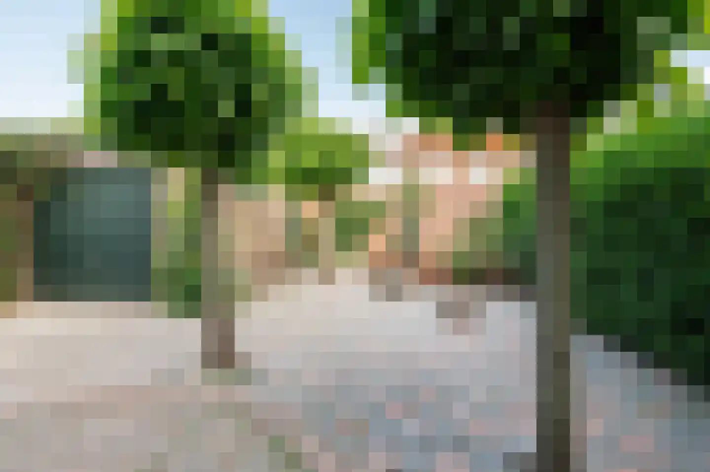 Esdoornstraat 9 Geldermalsen thumbnail 26