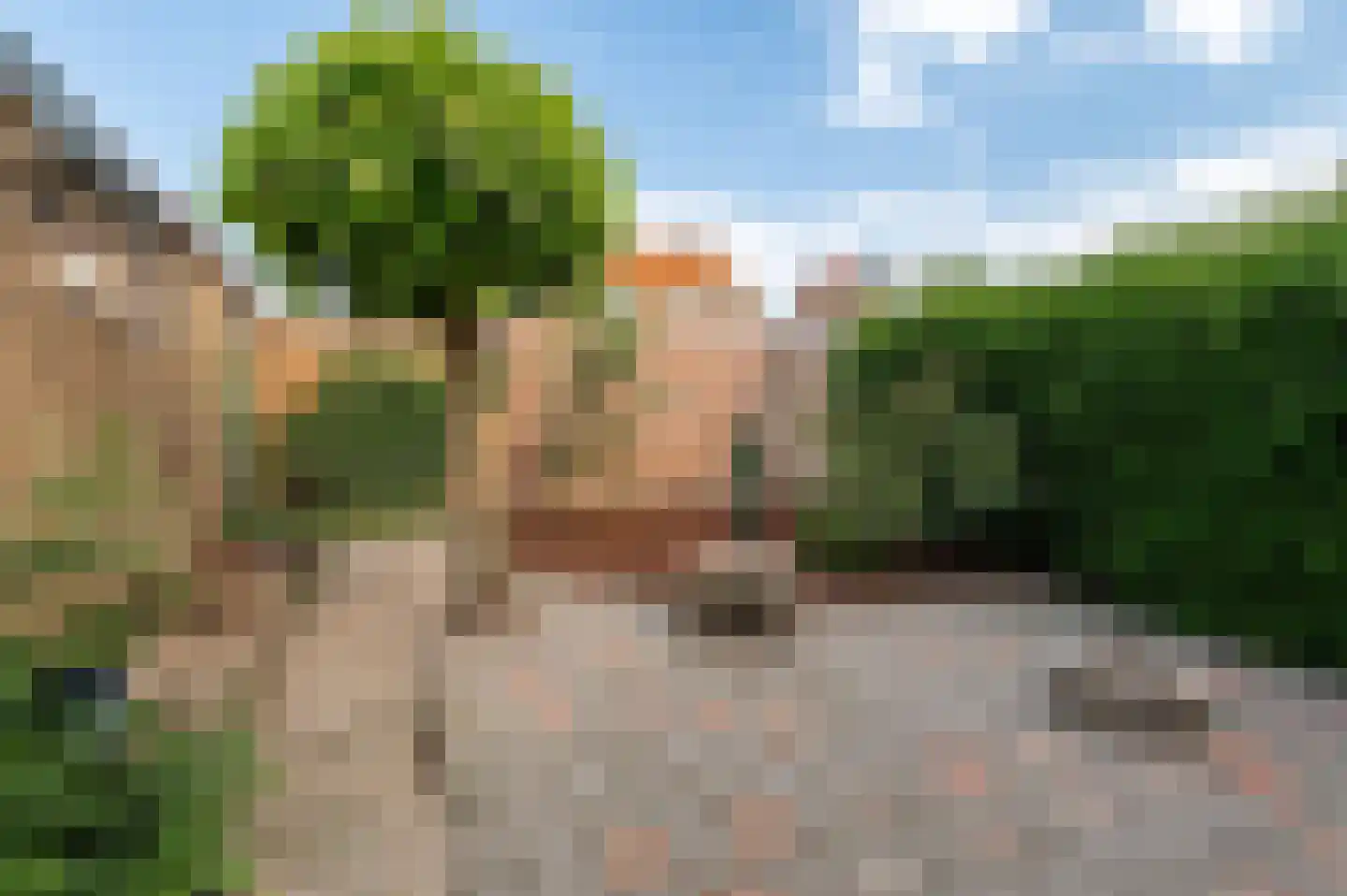 Esdoornstraat 9 Geldermalsen thumbnail 27