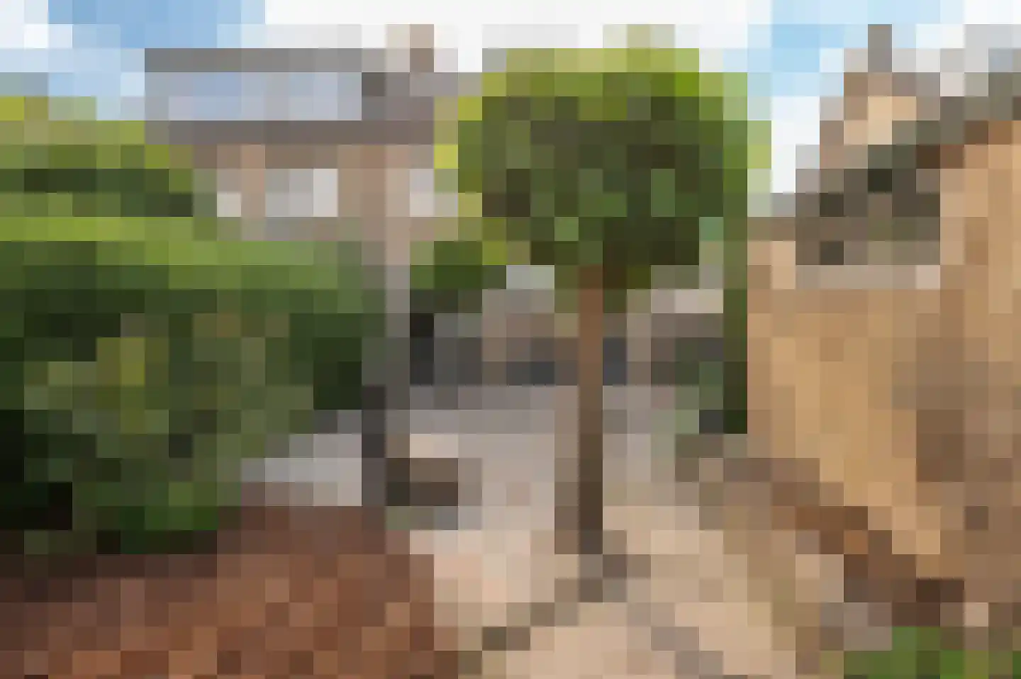 Esdoornstraat 9 Geldermalsen thumbnail 29