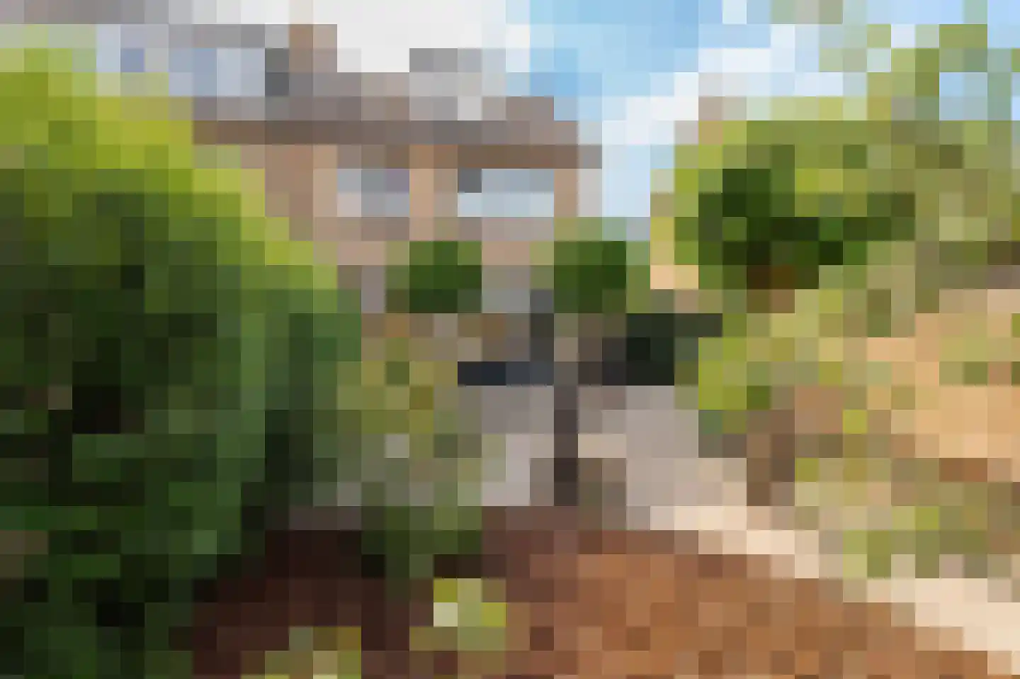 Esdoornstraat 9 Geldermalsen thumbnail 4