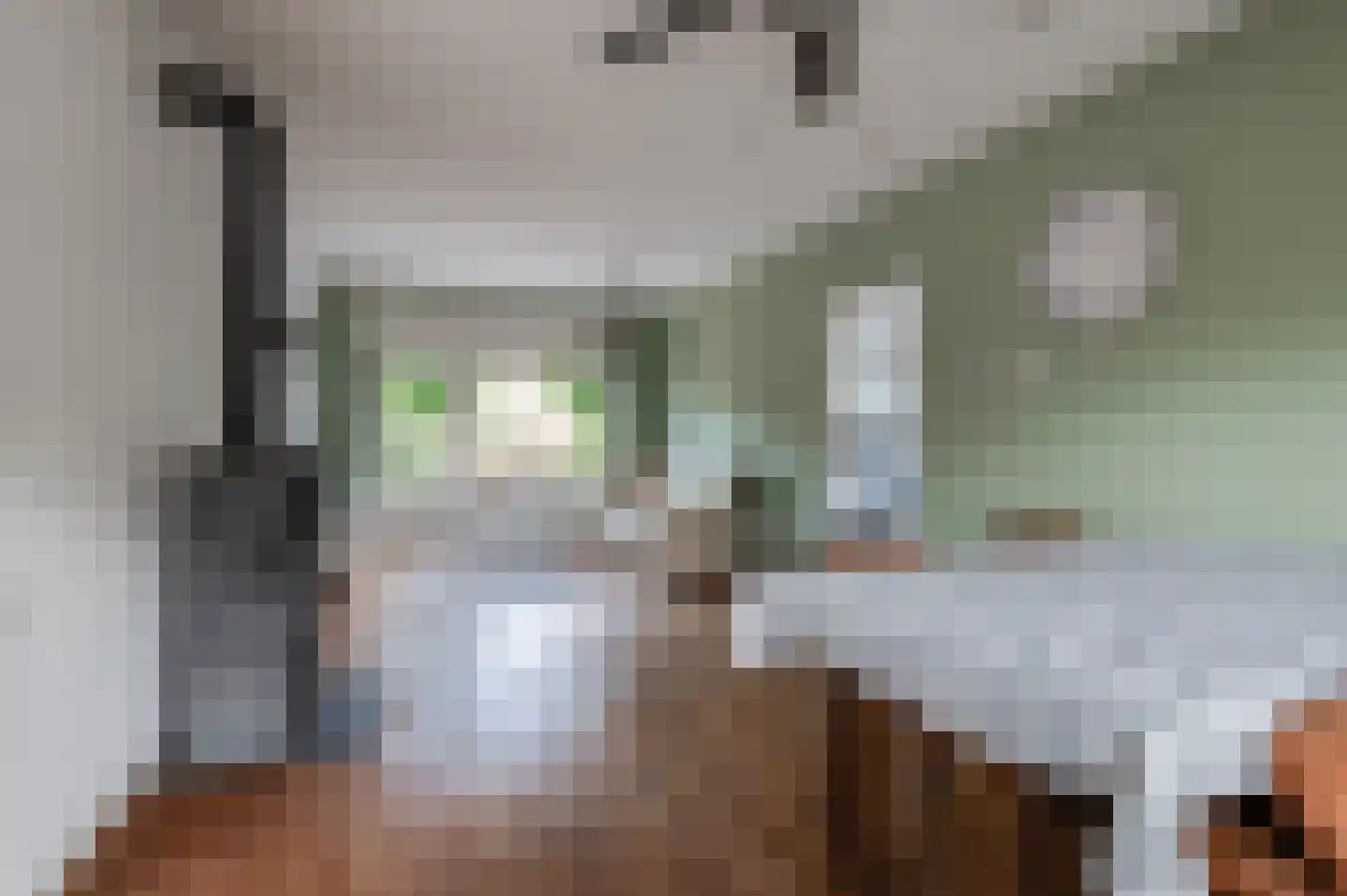 Esdoornstraat 9 Geldermalsen thumbnail 9
