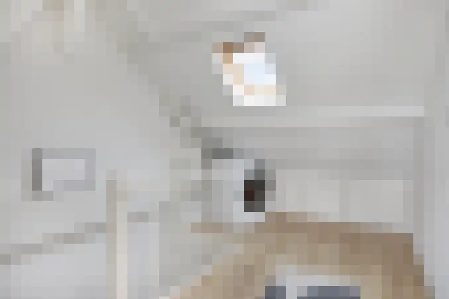 Esdoornstraat 9 Haastrecht thumbnail 30