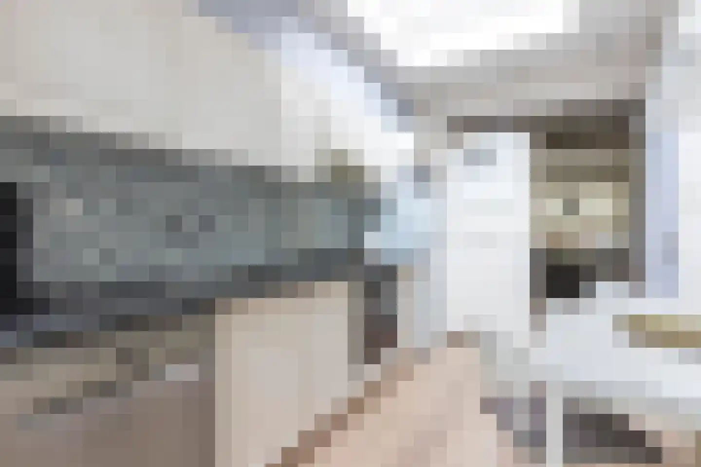 Esdoornstraat 9 Landgraaf thumbnail 9