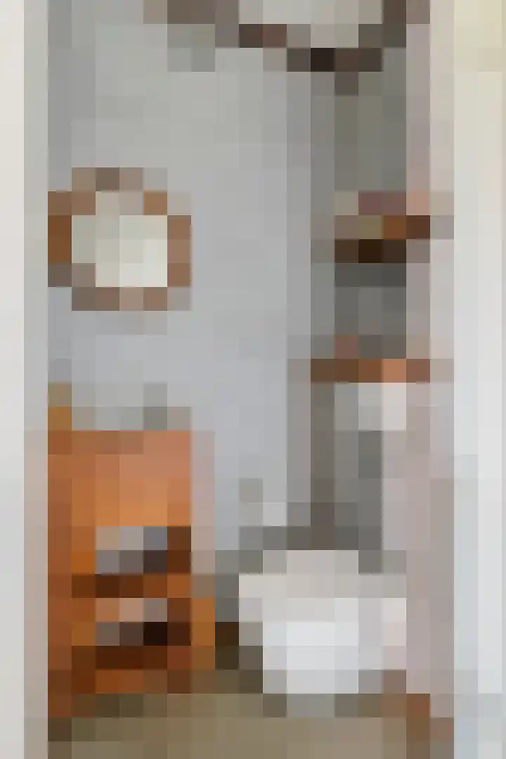 Esdoornstraat 9 Maurik thumbnail 10