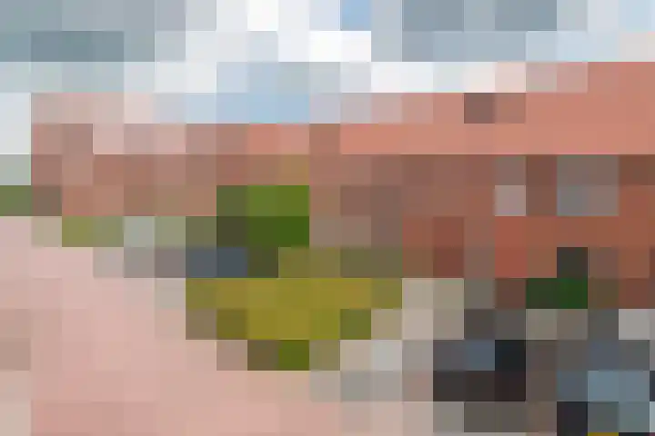 Esdoornstraat 9 Maurik thumbnail 11