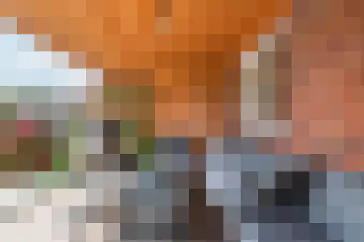 Esdoornstraat 9 Maurik thumbnail 16