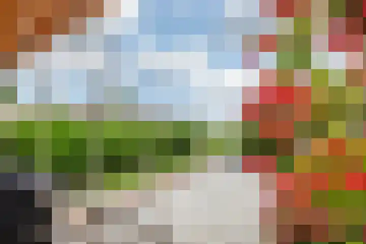 Esdoornstraat 9 Maurik thumbnail 18