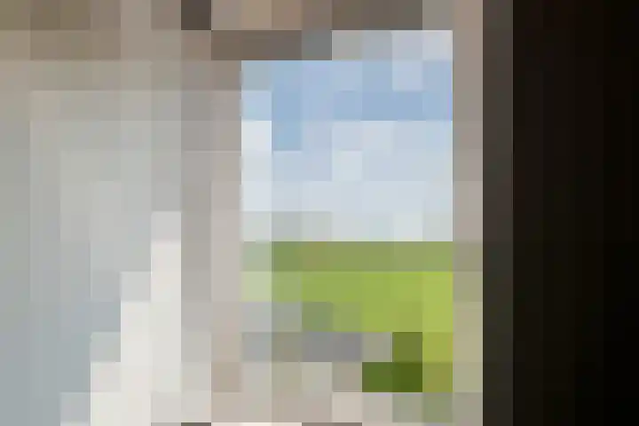 Esdoornstraat 9 Maurik thumbnail 30