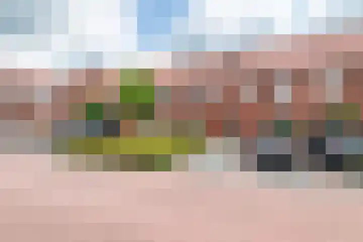 Esdoornstraat 9 Maurik thumbnail 37