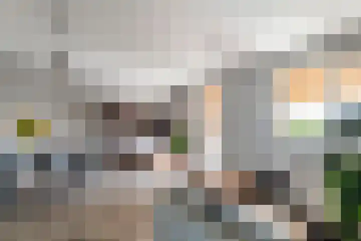 Esdoornstraat 9 Maurik thumbnail 4