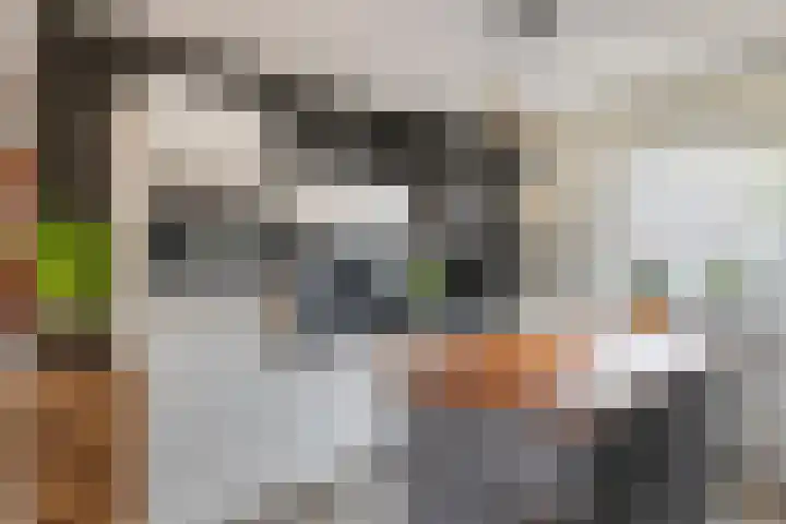 Esdoornstraat 9 Maurik thumbnail 8