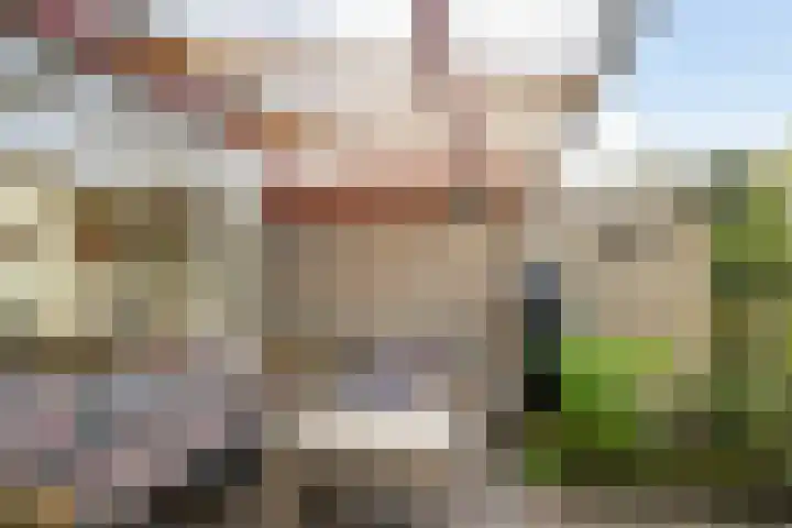 Esdoornstraat 9 's-Gravenzande thumbnail 15