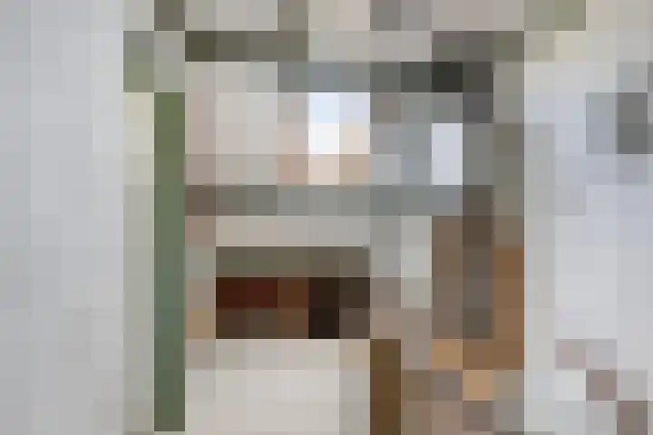 Esdoornstraat 9 's-Gravenzande thumbnail 27