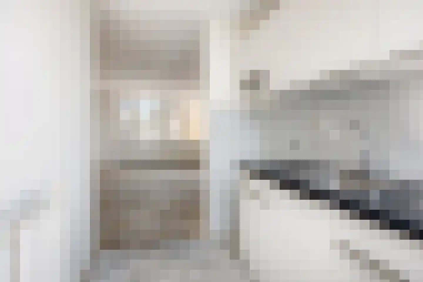 Esdoornstraat 91 's-Hertogenbosch thumbnail 14