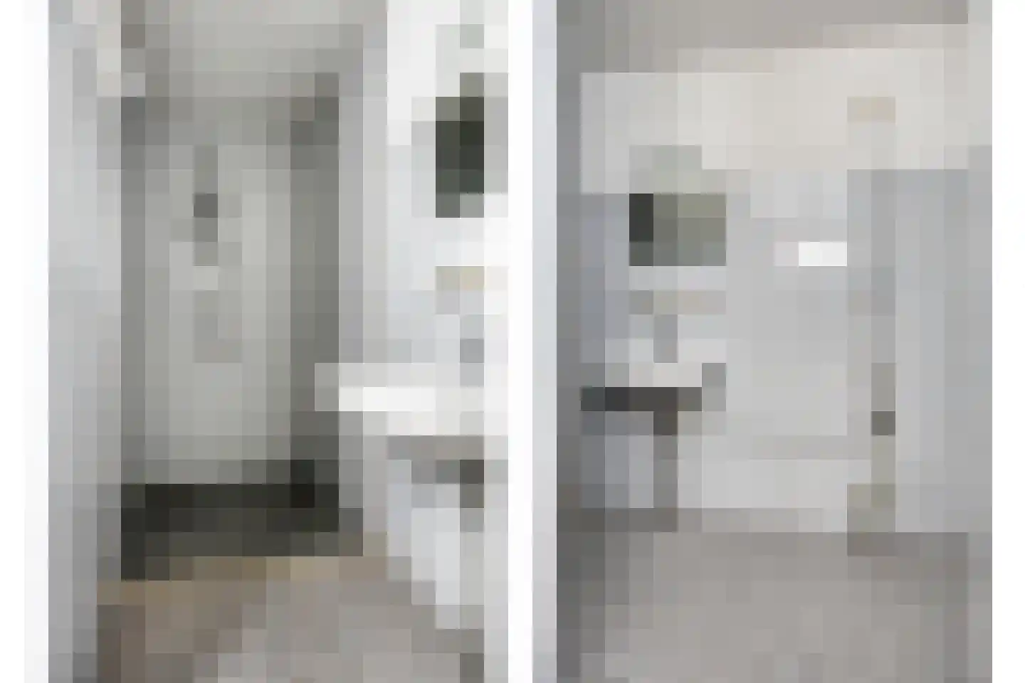 Esdoornstraat 91 's-Hertogenbosch thumbnail 23