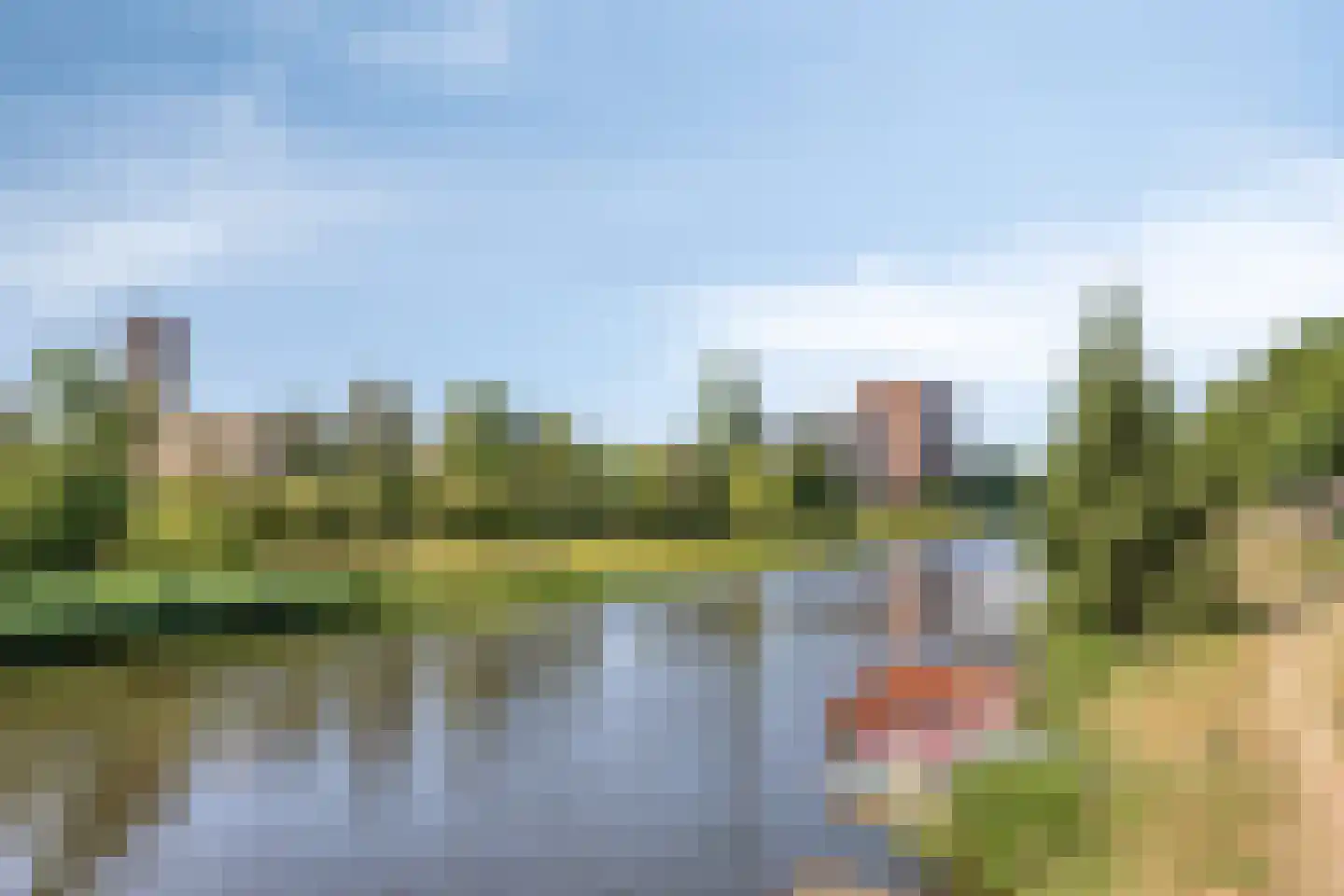 Esdoornstraat 91 's-Hertogenbosch thumbnail 29