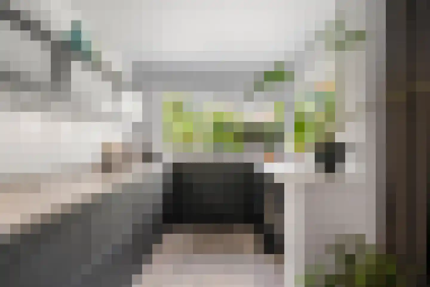 Esdoornweg 7 Arnhem thumbnail 14
