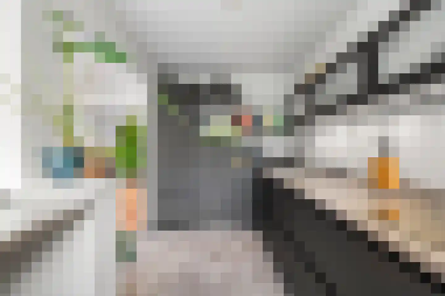 Esdoornweg 7 Arnhem thumbnail 15