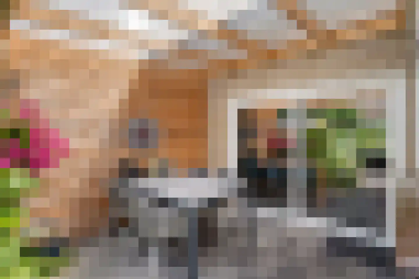 Esdoornweg 7 Arnhem thumbnail 30