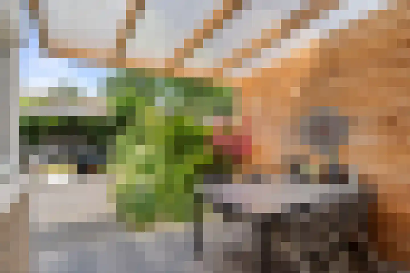 Esdoornweg 7 Arnhem thumbnail 31