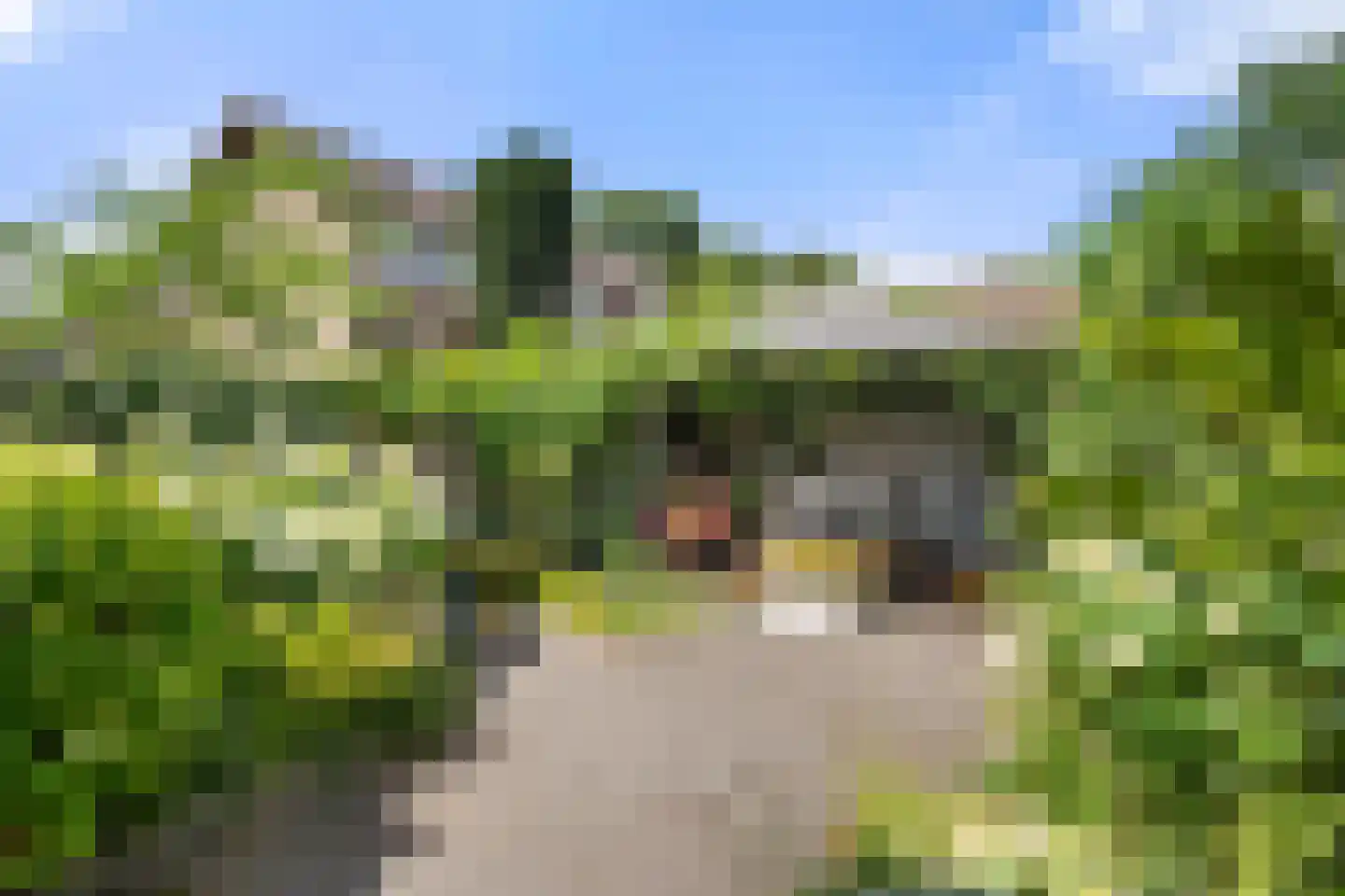 Esdoornweg 7 Arnhem thumbnail 32