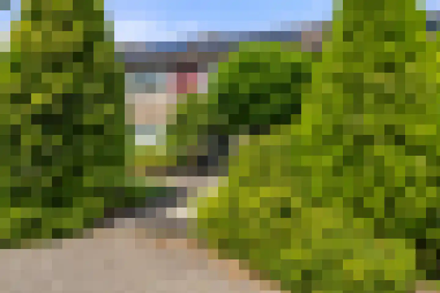 Esdoornweg 7 Arnhem thumbnail 35