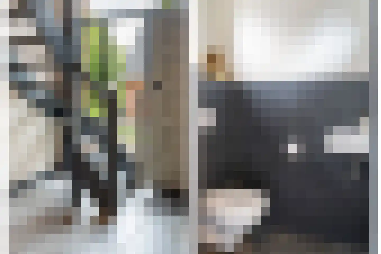 Eserstraat 14 De Kiel thumbnail 25