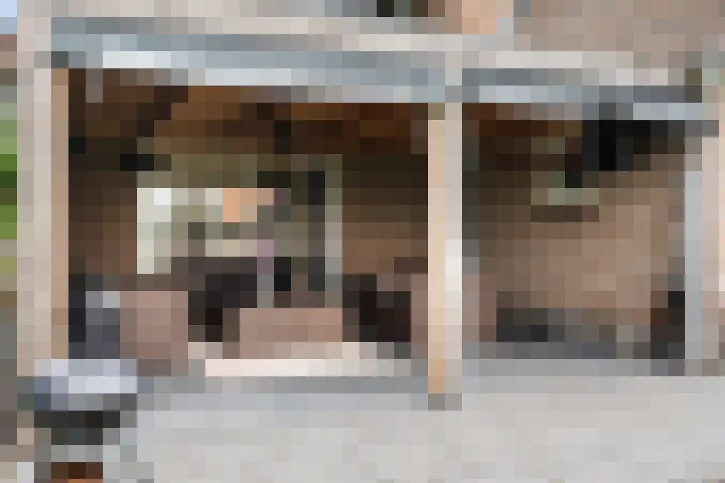 Eserstraat 14 De Kiel thumbnail 40