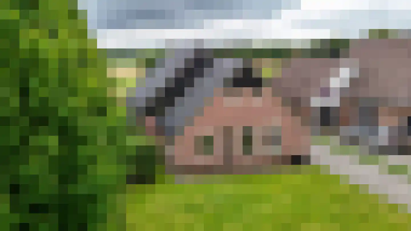 Eserstraat 18 De Kiel thumbnail 5