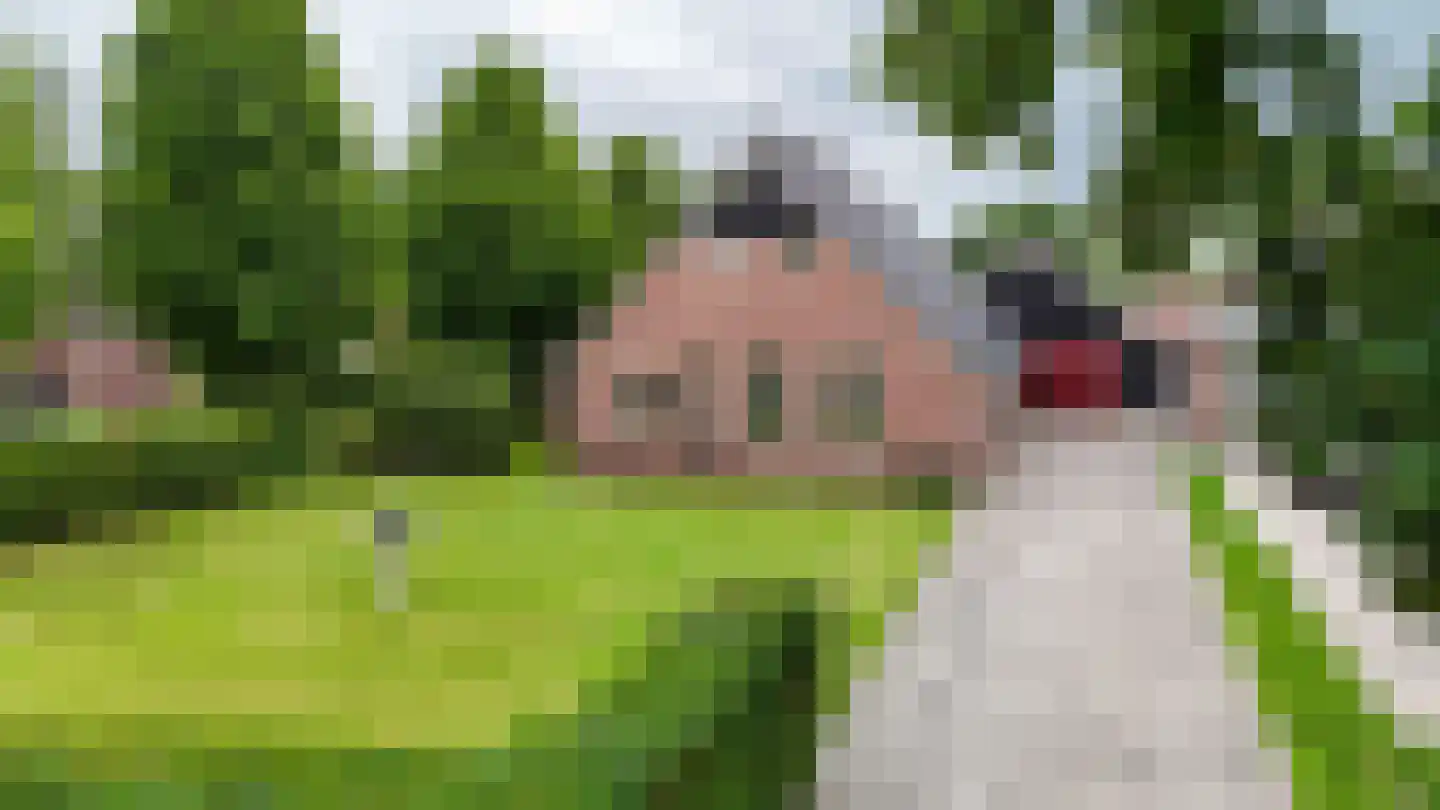 Eserstraat 18 De Kiel thumbnail 6