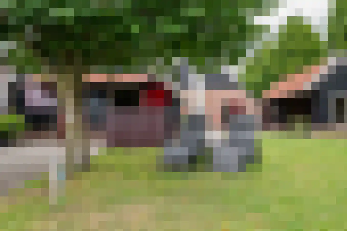 Eserstraat 18 De Kiel thumbnail 64
