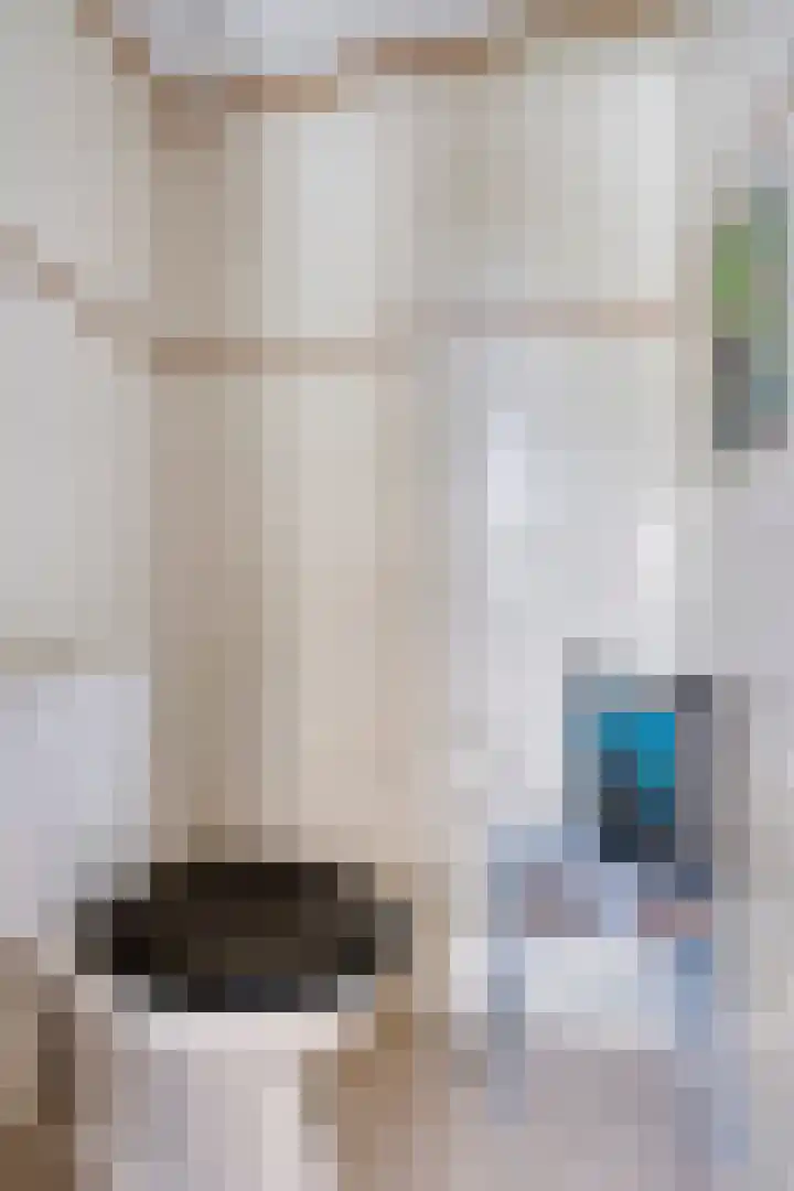 Eshof 10 Gendt thumbnail 11