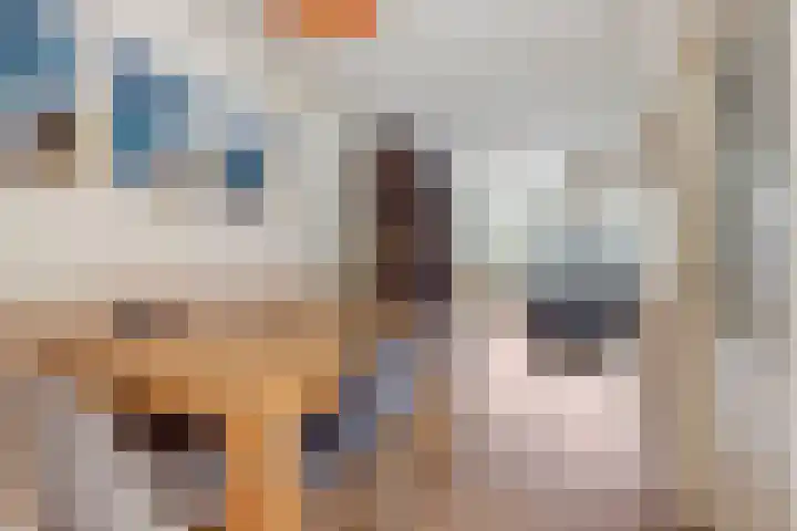 Eshof 10 Gendt thumbnail 13