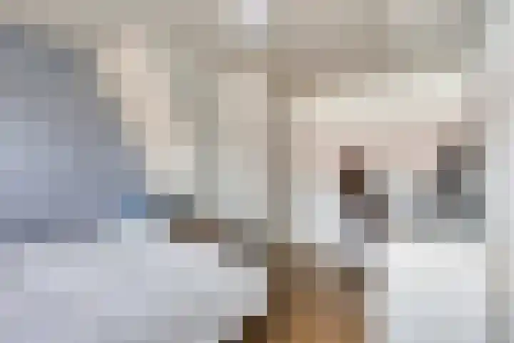 Eshof 10 Gendt thumbnail 26