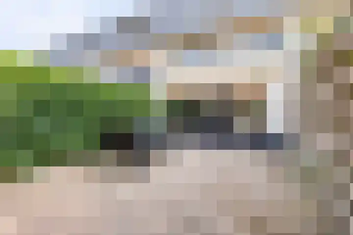 Eshof 10 Gendt thumbnail 31