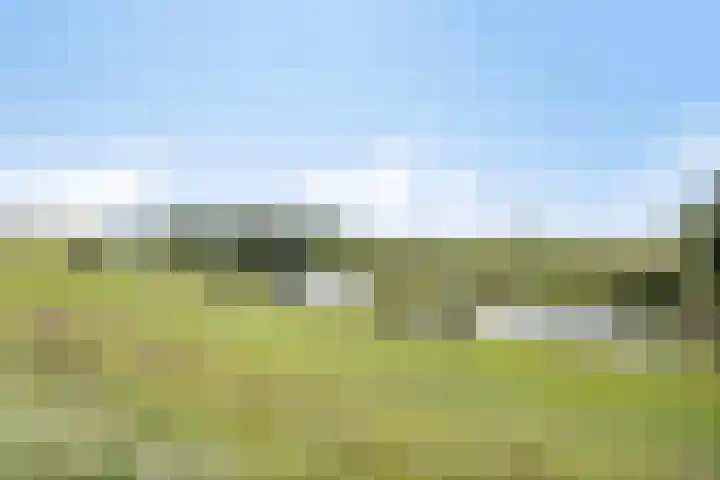 Eshof 10 Gendt thumbnail 34