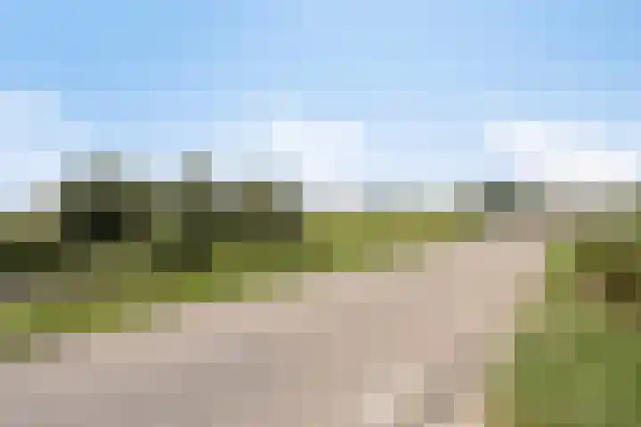 Eshof 10 Gendt thumbnail 35
