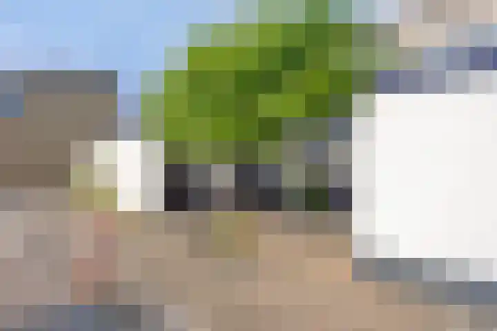 Eshof 10 Gendt thumbnail 6