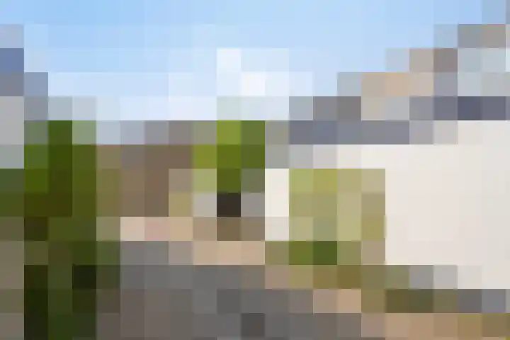 Eshof 10 Gendt thumbnail 7