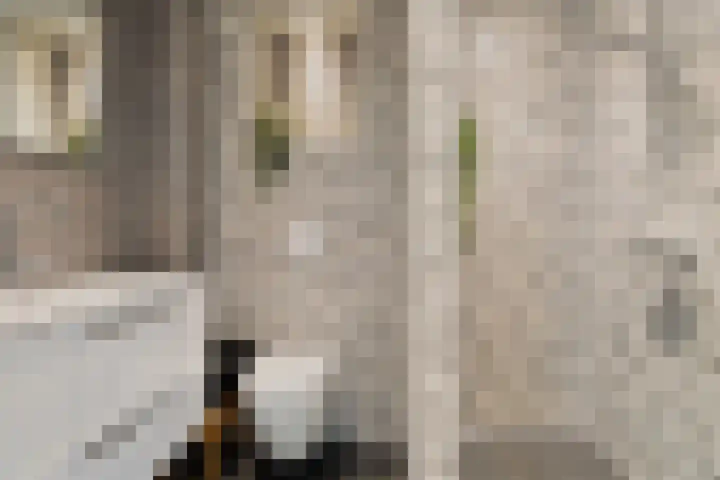 Eshof 17 Gendt thumbnail 24